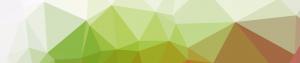 Book Design banner