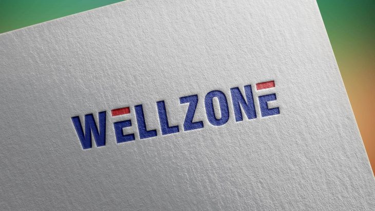 Wellzone Logo Design