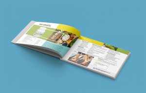 Add Shop Promotions Brochure Design